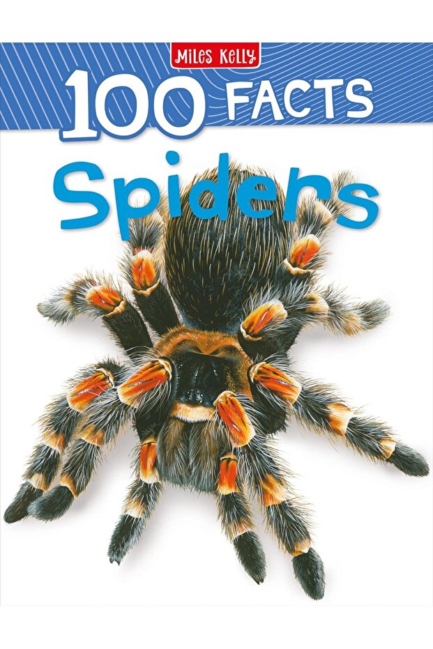 100 FACTS SPIDERS