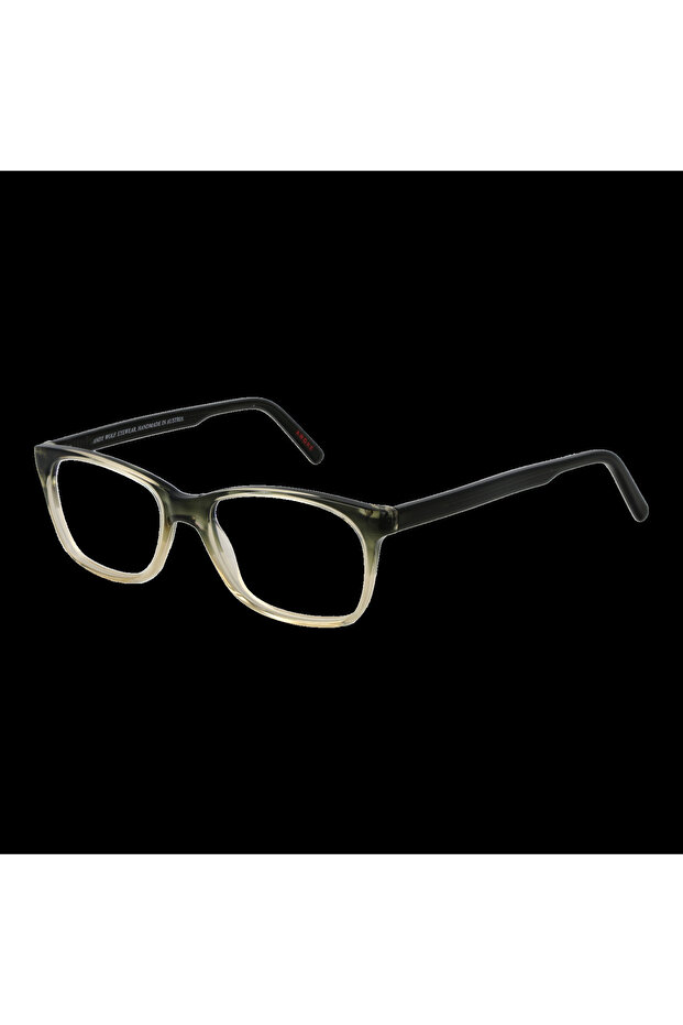Ramă de ochelari 4495 E 50