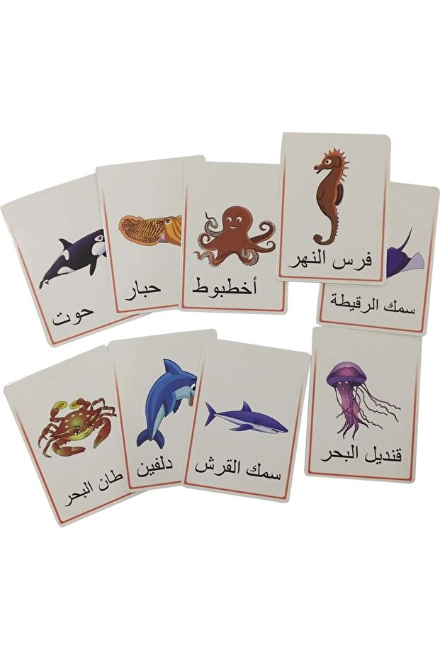 كروت تعليمية - الاحياء البحرية - تخاطب وتواصل