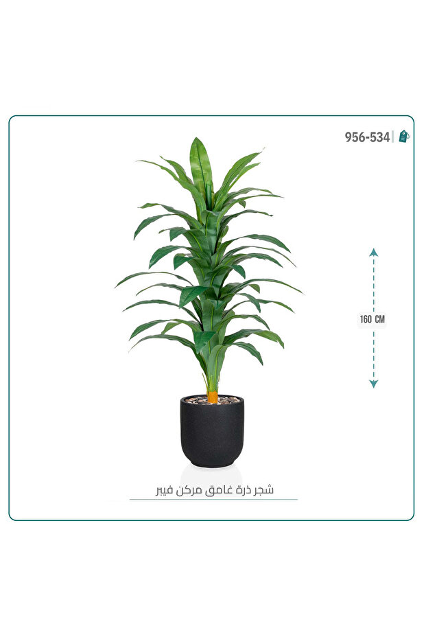 شجرة نبات الذرة { دراسينا } الاصطناعية بحوض فيبر أسطواني