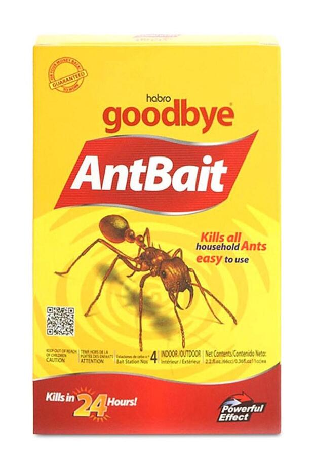 Pack Of 4 Ant Bait