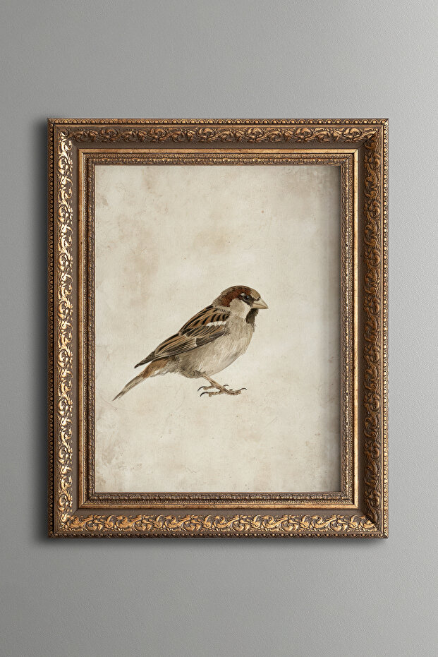 Hummingbird Illustration – Vintage Patterned Painting – Thick Model
