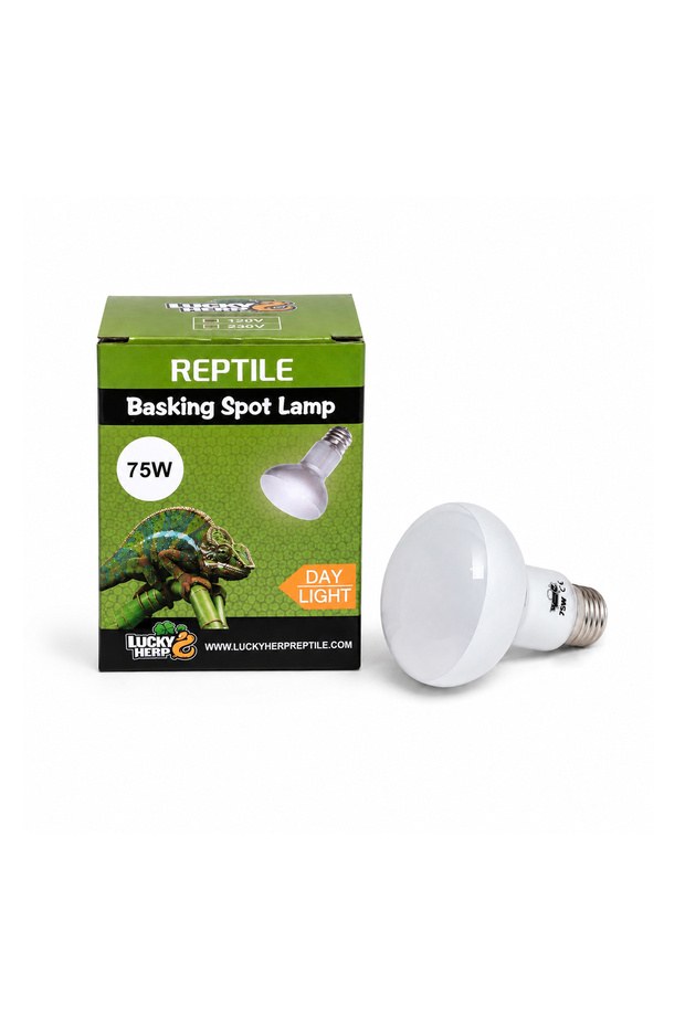 Terrarium Basking Spot Daylight Lamp - 75W