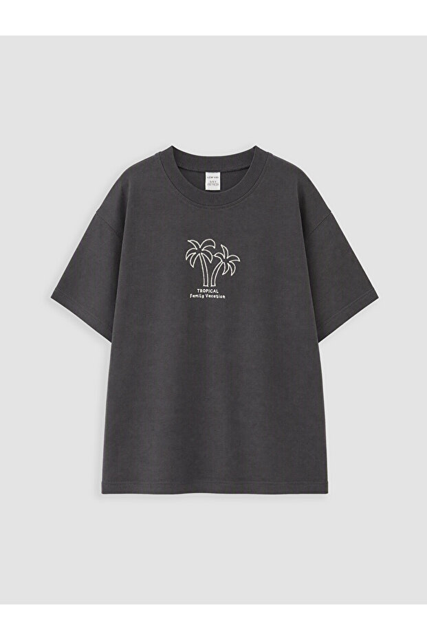 Lcw Kidscrew Neck Embroidered Boys' T-Shirt