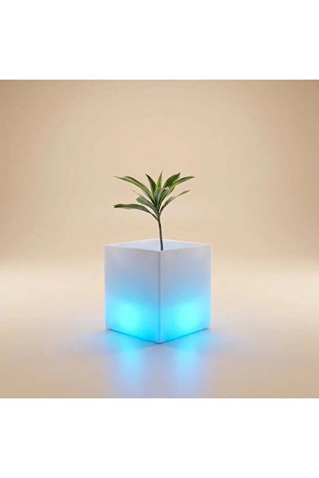 حوض زراعة مربع RGB متوسط الحجم 40 × 40 × 41 × 24 سم، مصنوع من البلاستيك LLDPE، سعة 25 لتر للزراعة