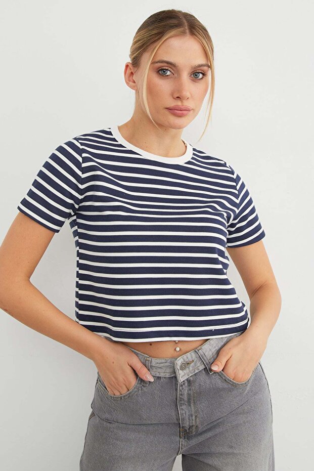 Striped Crew Neck Transitional Crop T-Shirt