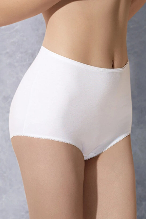 Women's Modal Cotton Elasthan High Waist Panties Slip