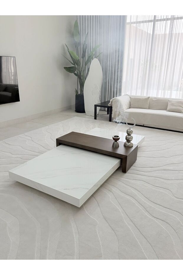 Elegant Coffee Table - 3