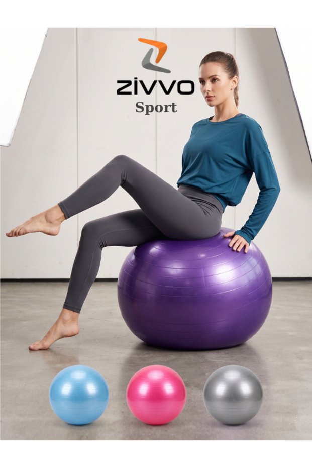 65 cm Pilates Ball and Pump Set Plates Balance Yoga Sports Pregnant Exercise Ball Gymnastics Fitness Gym