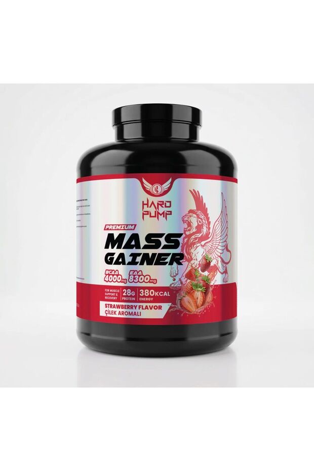 Mass Gainer - 1
