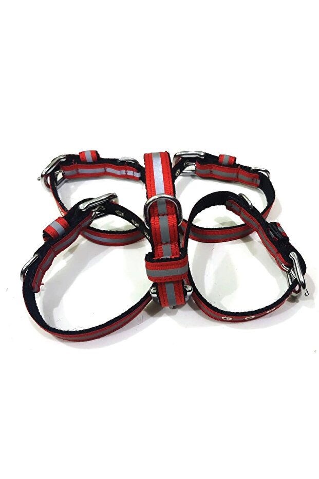 Adjustable Dog Collar with Reflector for Small Dogs