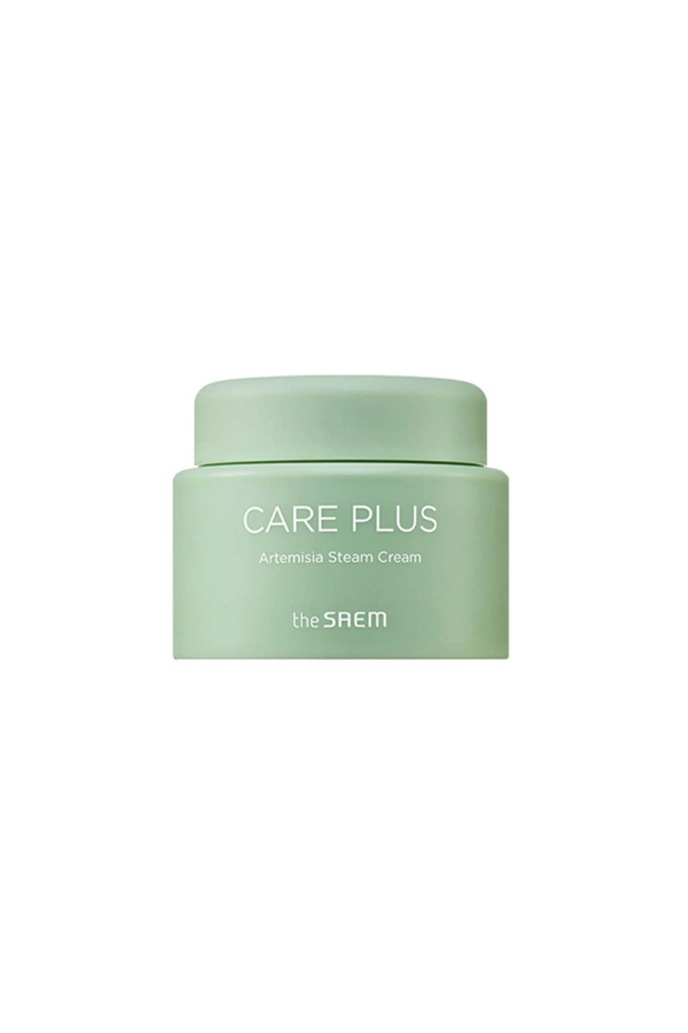 Care Plus Artemisia Steam Cream - Soothing and Moisturizing Care Cream 100 ml
