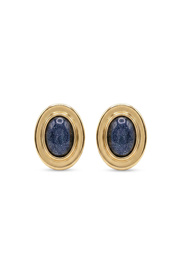 Steel Bianca Earrings