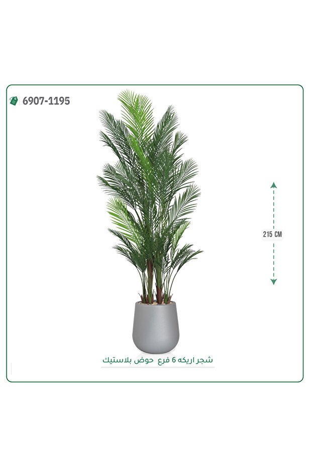 شجر اريكا صناعية حوض بلاستيك { ارتفاع 215 سم } - 2