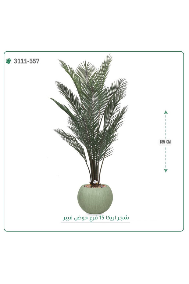 شجرة أريكا صناعية حوض فيبر { ارتفاع 185 سم }