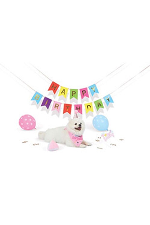 Party Time Birthday Set for Female Dogs