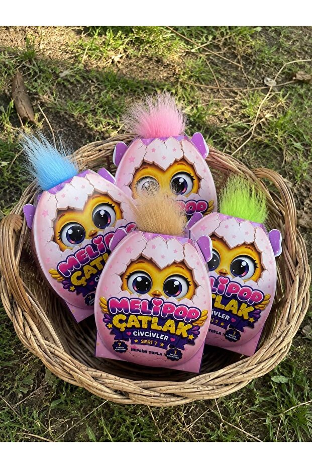 Surprise Cracked Egg Toy – Collectible Chick Plush with 7 Different Characters