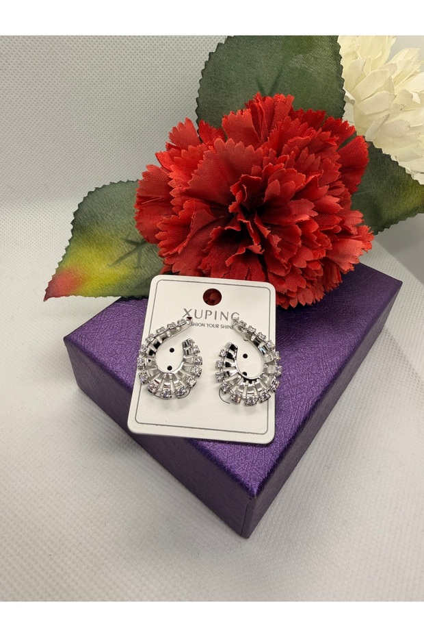 Zircon Stone Rotating Drop Model Steel Earrings
