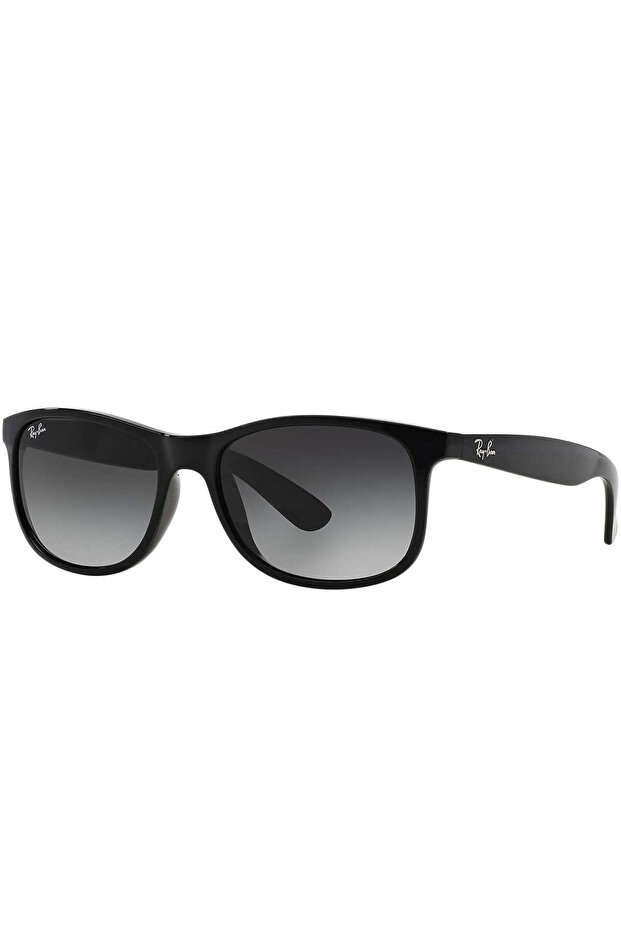 RayBan Unisex Wayfarer Sunglass 420255601/8G