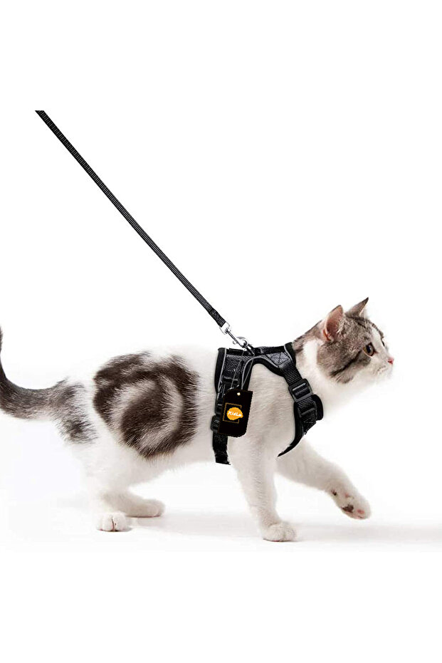 Adjustable Breathable Chest Harness Pet Leash