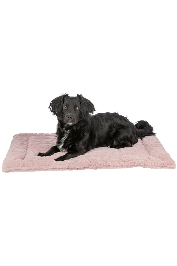 Lonni Corduroy Plush Lying Mat for Dogs