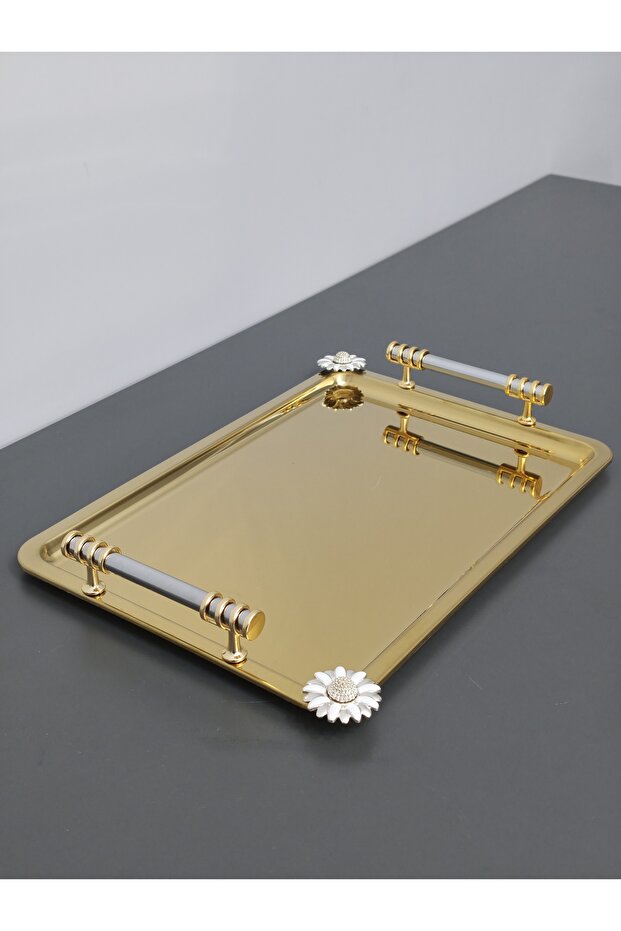 Figured, Metal-Handled, Stainless Steel Rectangular Tray Luxury Presentation Tray Light Gold-Silver