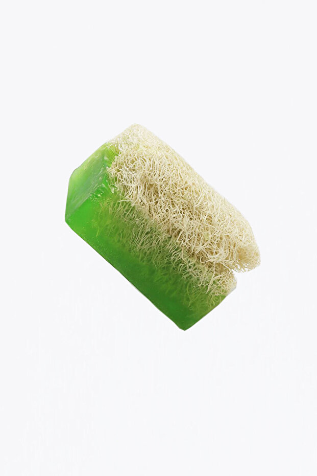 Laurel Oil Milk Pumpkin Fiber Soap 1 Pc