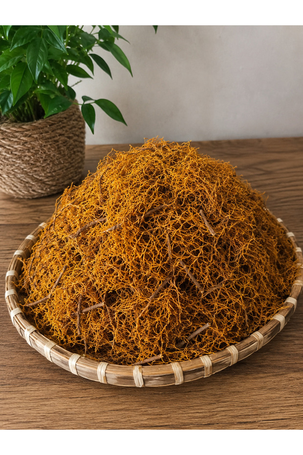 Meyan Kök 500 Gr