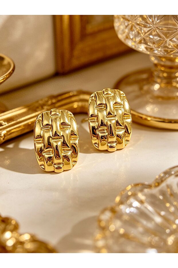 Steel Gold Earrings