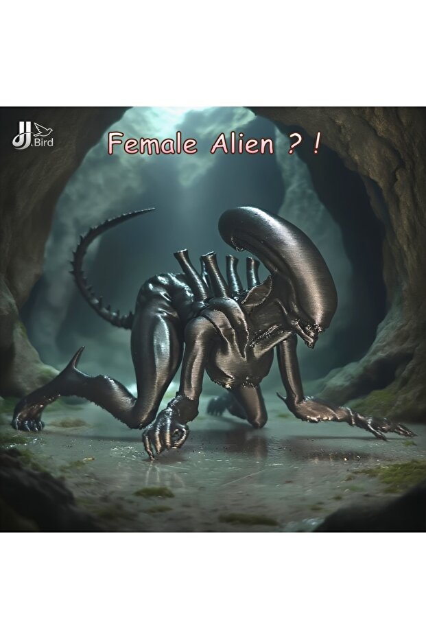Black A creative female alien ornament, made by a mysterious creature exclusive to sci-fi fans, is a