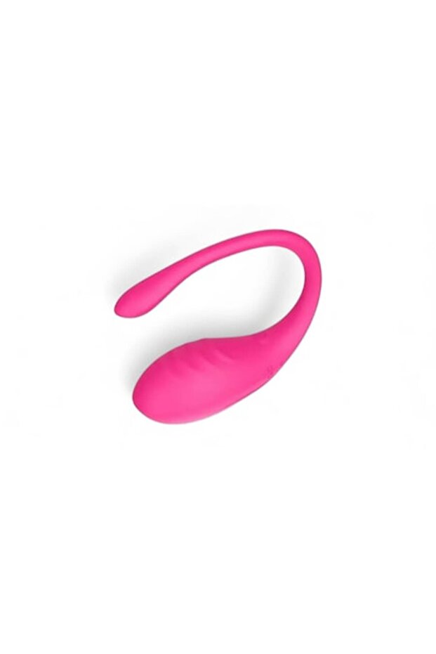 VibeMaster Vibrator - 1