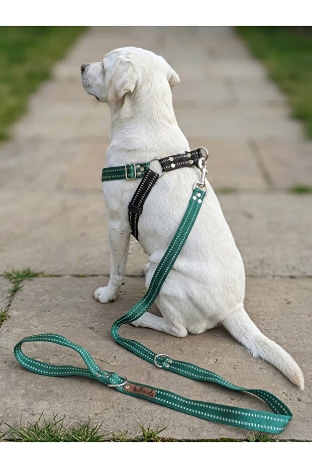 Dog Chest Harness Adjustable and Leash Set of 2 Medium & Large Breeds Green & Black