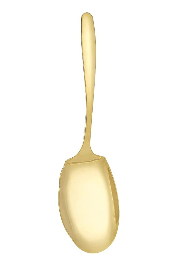 Rice Spoon