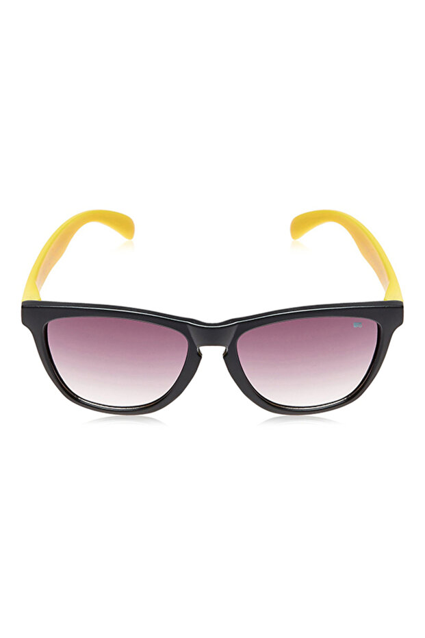 Wayfarer Sunglasses