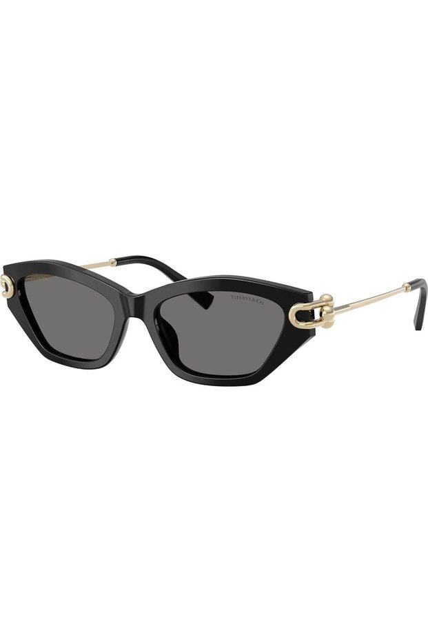 & Co.Tf4231U 800181 53 Women's Sunglasses