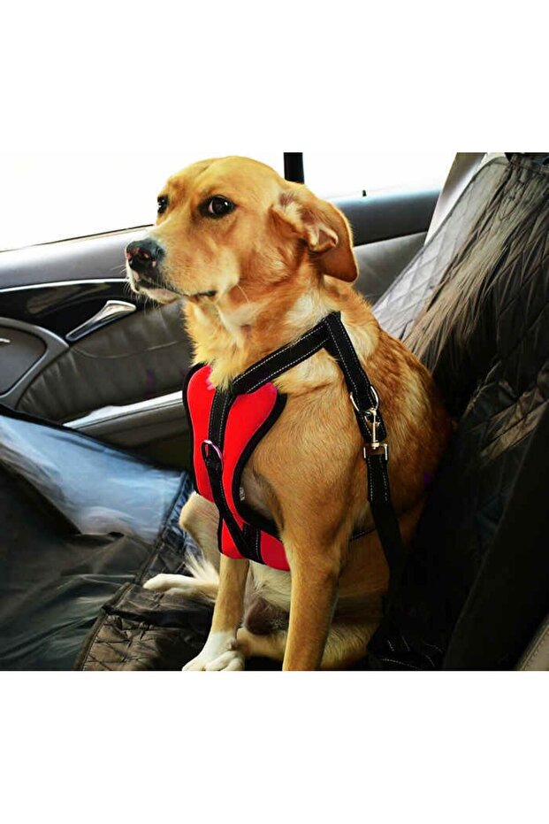 Dog Car Seat Belt and Leash Arnav Red