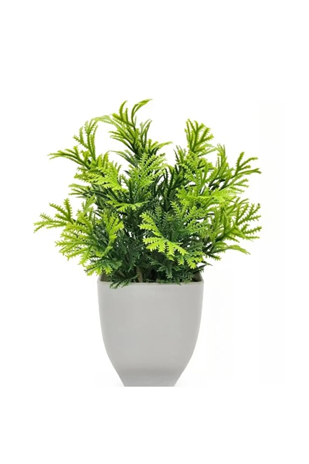 1pc Pine needle 1PC Artificial Plant with Plastic Pot for Home Office Desk Living Room Bedroom Decor