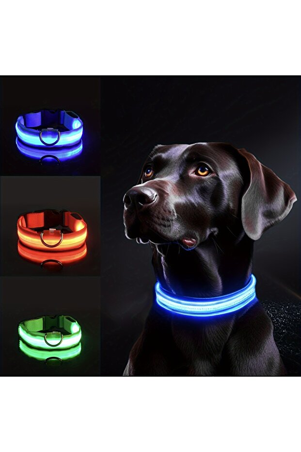 طوق كلب LED عاكس باللون الأحمر للسلامة الليلية - متين، بنمط هندسي، يعمل بالبطارية، مع إمكانية وضع علامة تعريفية