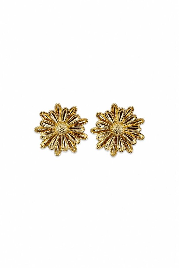 Solea Collection - 1
