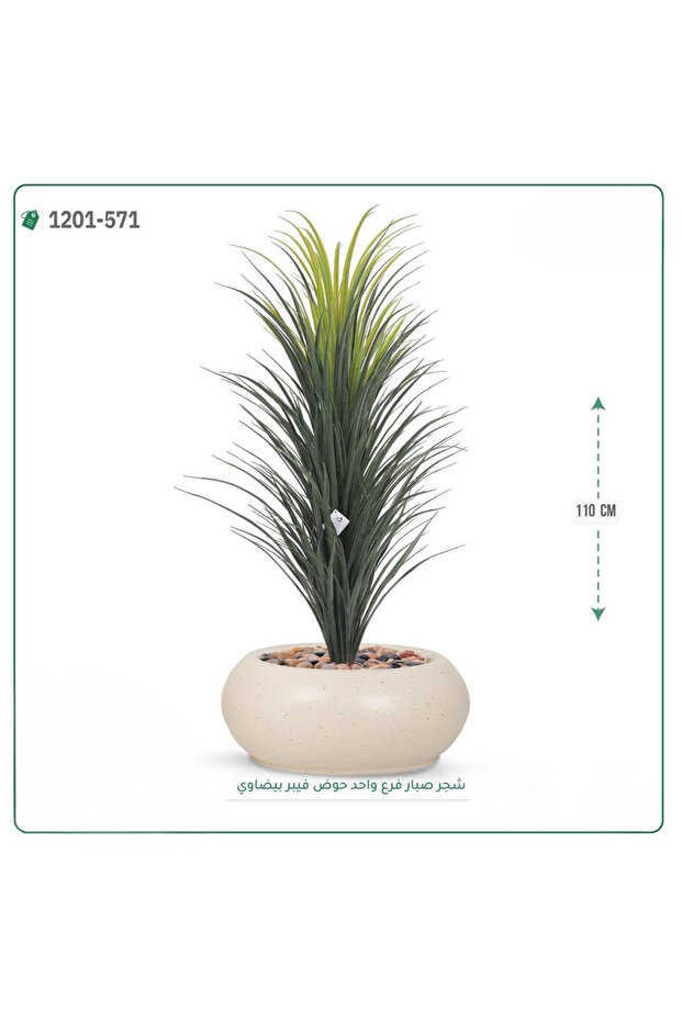 شجرة صبار اصطناعية حوض فيبر بيضاوي { ارتفاع 110 سم }