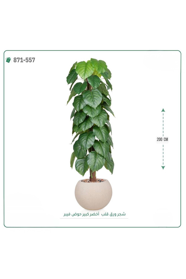 شجرة ورق قلب اصطناعية حوض فايبر { ارتفاع 200 سم }
