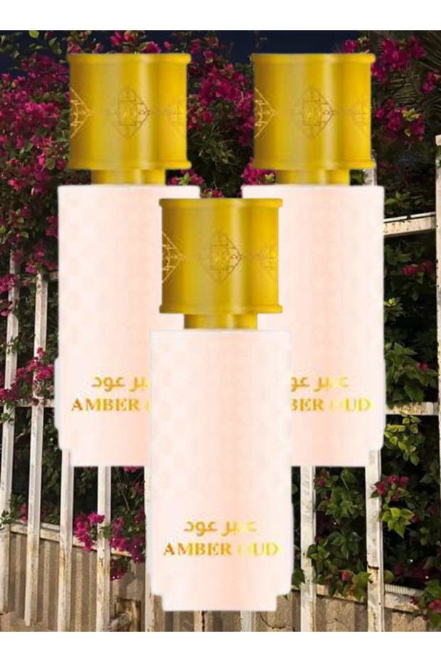 3 Pieces Amber Oud Perfume 100ML