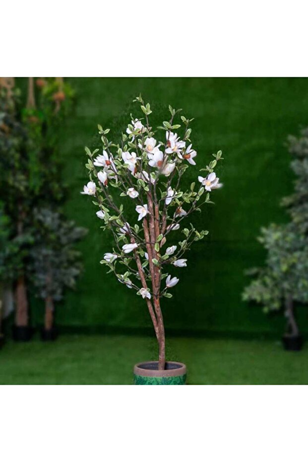 MAGNOLIA TREE WHITE H158CM