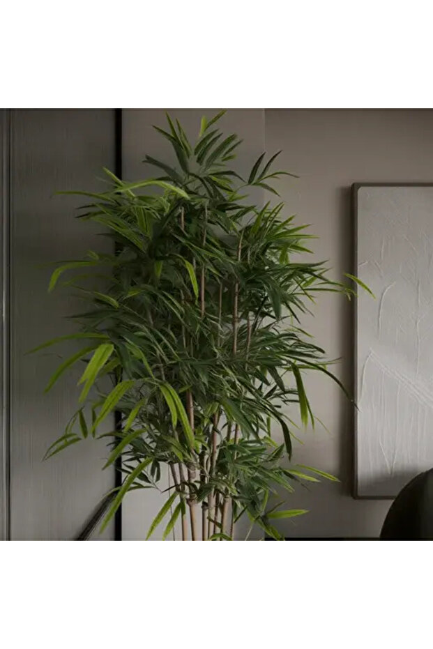 Bamboo Tree - 4