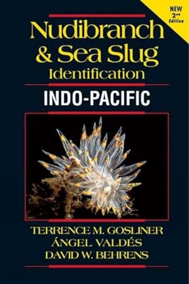 Nudibranch And Sea Slug Identification Indopacific