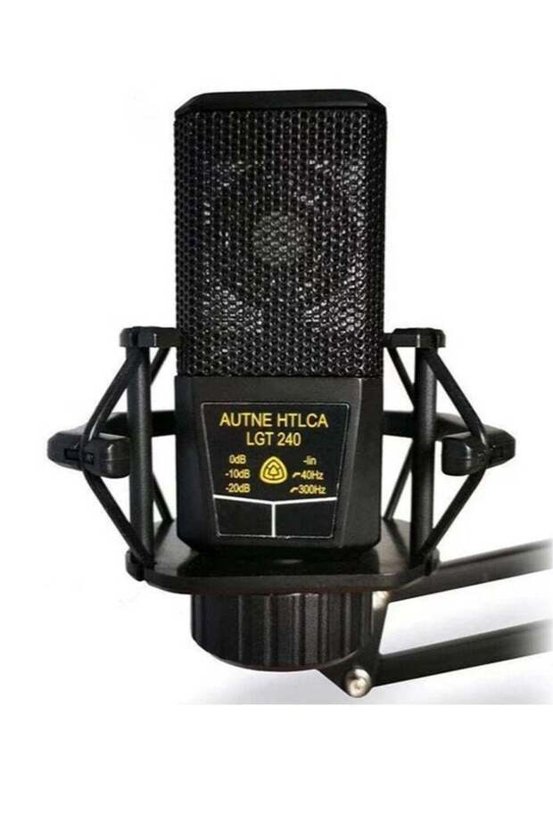 LGT240 Condenser Microphone Studio Cardioid Directional Audio Recording Mic for PC Computer Video Camera Camcorder Live Broadcast Dance Studio Recording