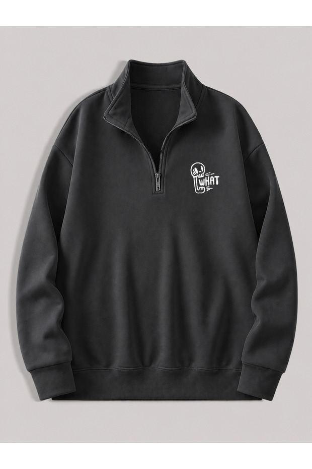 Men's Standing Collar Zippered Printed Oversized Sweatshirt