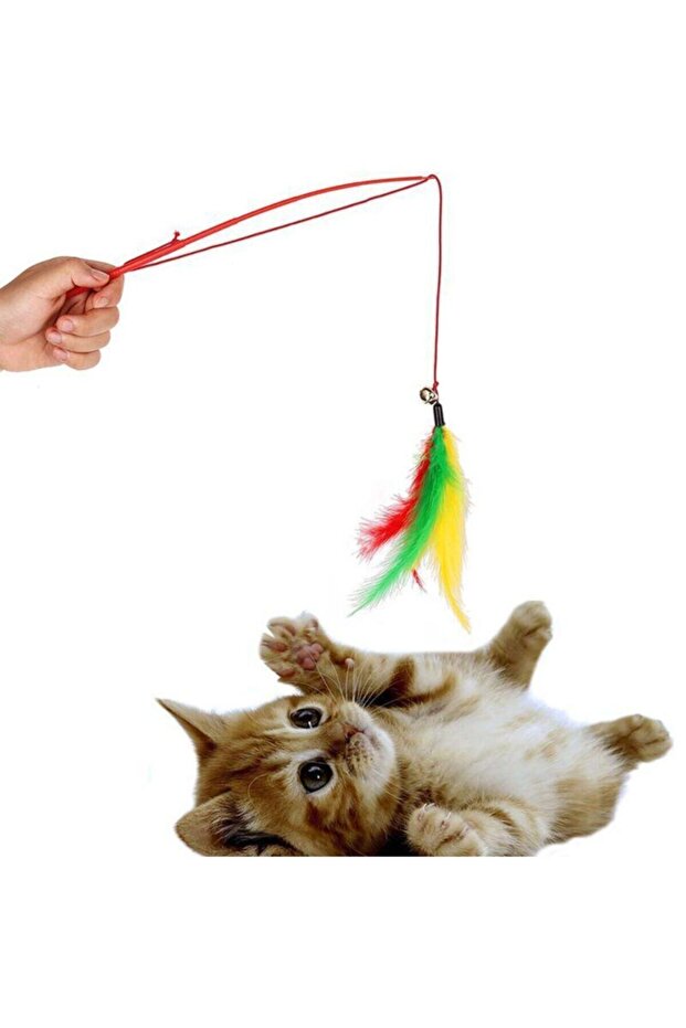 Cat Fishing Rod - Feathered