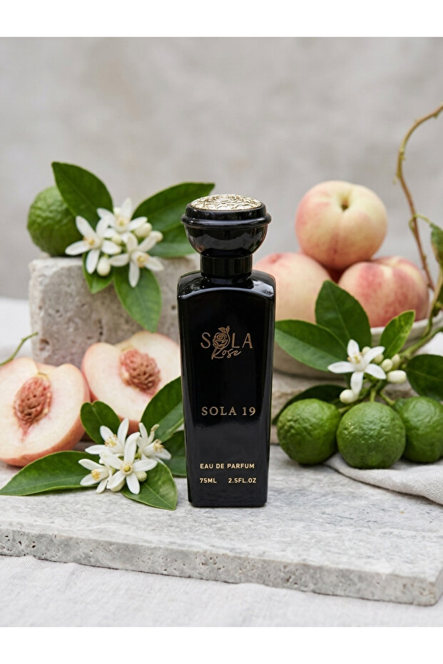 SOLA 19