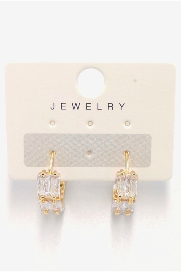 Steel Luxury Design Jewelled Earrings